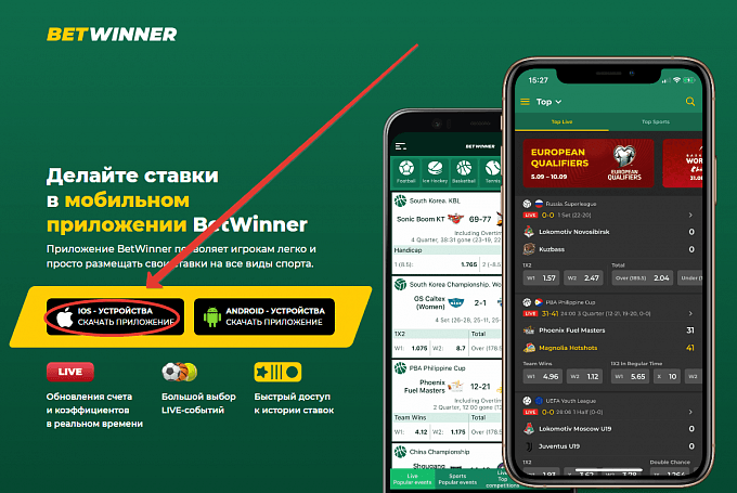 Experience the Thrill of Sports Betting with Baji Live 365